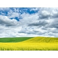 thumbnail image 2 of Eggers, Terry 18x14 Gold Ornate Wood Framed with Double Matting Museum Art Print Titled - USA-Washington State-Palouse-Rolling hills of canola and wheat, 2 of 4