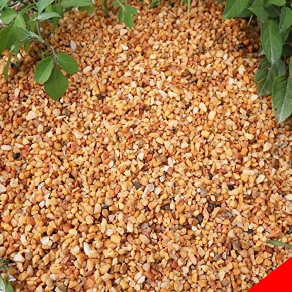 18lb Cactus Pea Gravel Rocks1/5 Inch Pebbles for Indoor Plants Natural Succulent Rock and River Rocks Decorative for Aquariums Vases Terrarium Outdoor Gardening Top Dring for Potted Plants