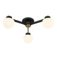 thumbnail image 4 of Ceiling Light in Matte Black with Natural Brass, 4 of 7