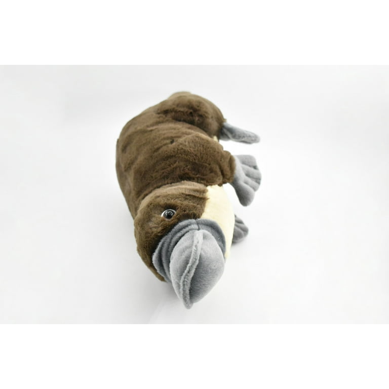 Duck billed platypus stuffed animal sale