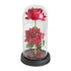 thumbnail image 1 of Regalos de San Valentín para ella: flores preservadas iluminadas, decoración creativa para el hogar rojo con base negra, 1 of 9