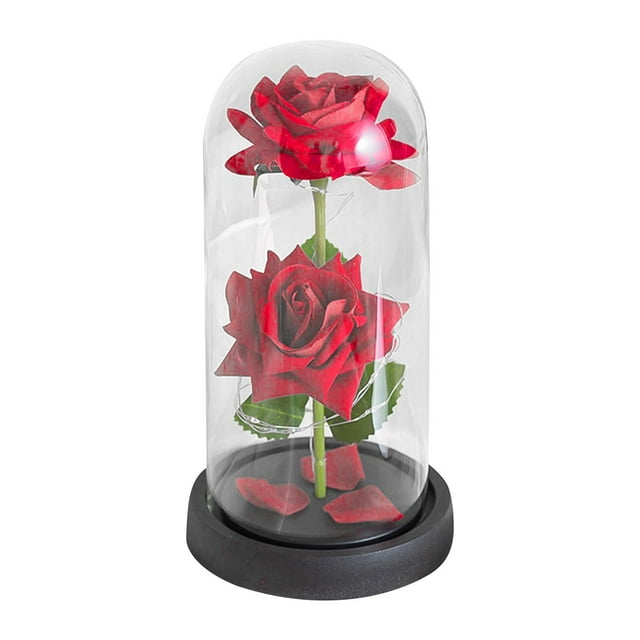 Regalos del día de San Valentín para su flor preservada para la esposa de la graduación rojo con base negra