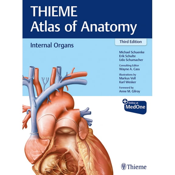 Internal Organs (Thieme Atlas of Anatomy) (Paperback)