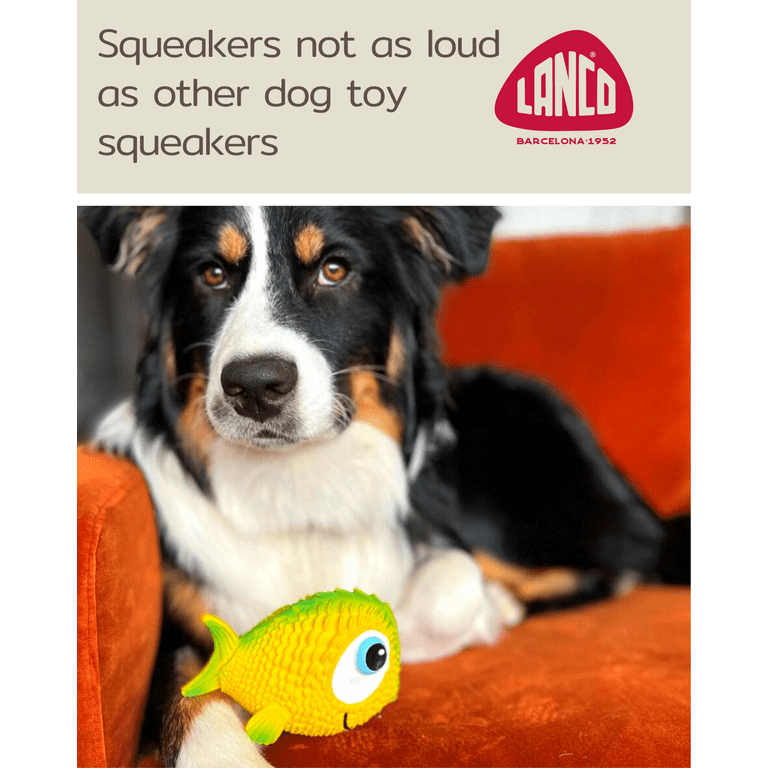 Sensory Fish - Squeaky Dog Toys - Soft, Natural Rubber (Latex