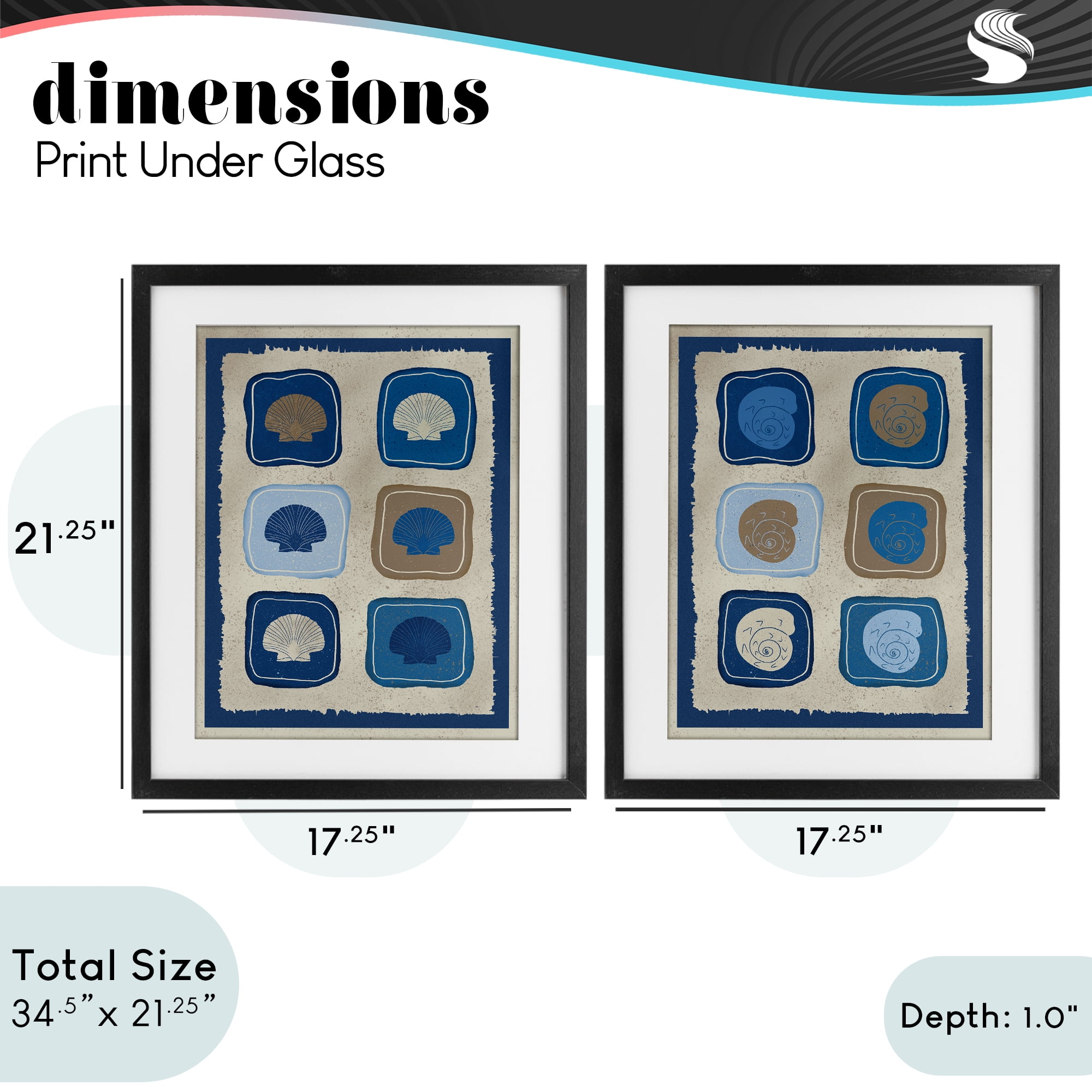 Stupell Industries Blue Blocked Seashells 2 Piece Black Framed Print Under Glass Set, design by Julia Frost