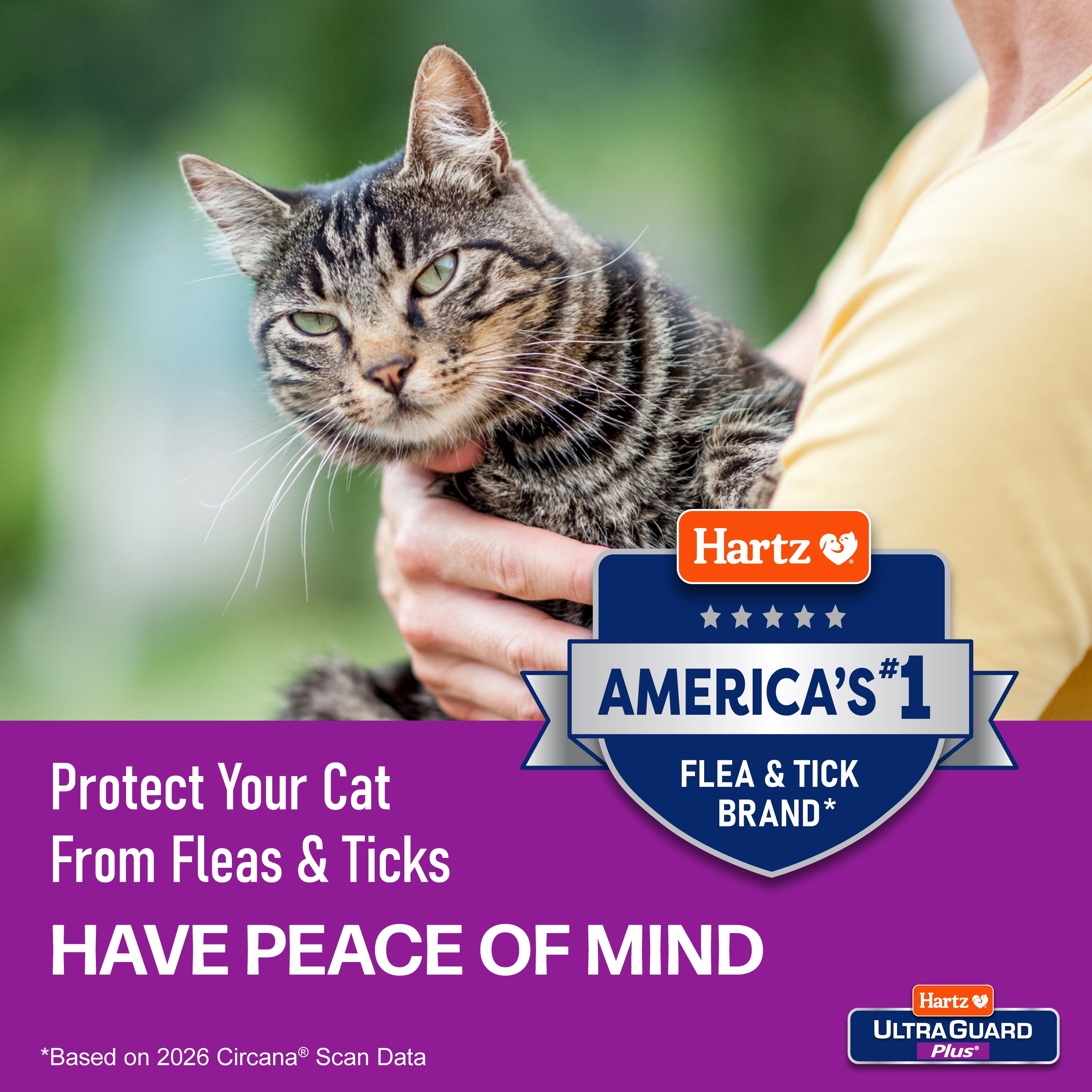 Hartz UltraGuard Plus Flea & Tick Collar for Cats and Kittens, 7 Months Protection, 1ct