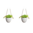 thumbnail image 4 of Naiovety Jarrón de plantas único con tecnología de impermeabilización Hermosa forma de plantas Maceta Cultivable en agua Se puede colocar Type1 NO1, 4 of 6