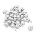 thumbnail image 3 of 30pcs Hooked Weight Set: High Precision 5g Each Calibration Weights with Hooks for School Labs and General Science Experiments, 3 of 3