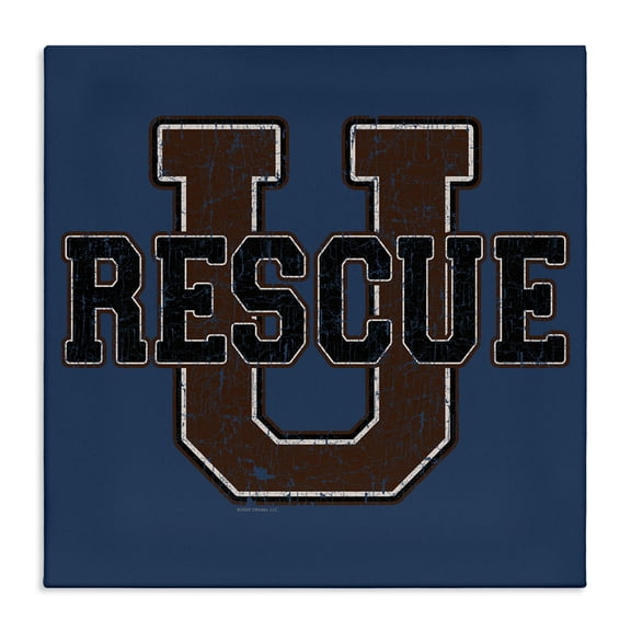 Stupell Industries Eclectic Canvas Art, 17 x 17, by Spirit Animals/Life Is High