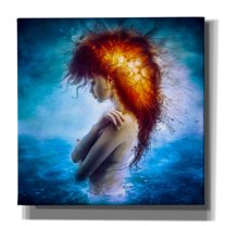 Cortesi Home 'Nirvana' by Mario Sanchez Nevado, Canvas Wall Art, 26" x 26"