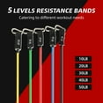 thumbnail image 4 of FlexWave Resistance Bands Set with Handles, 10 Pieces Set，Exercise Workout Bands for Strength Training, Home Gym Fitness Equipment for Men & Women, 4 of 6