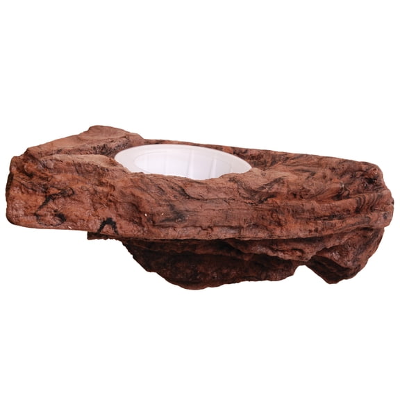 MagNaturals Worm Feeder Ledge - Earth - Large