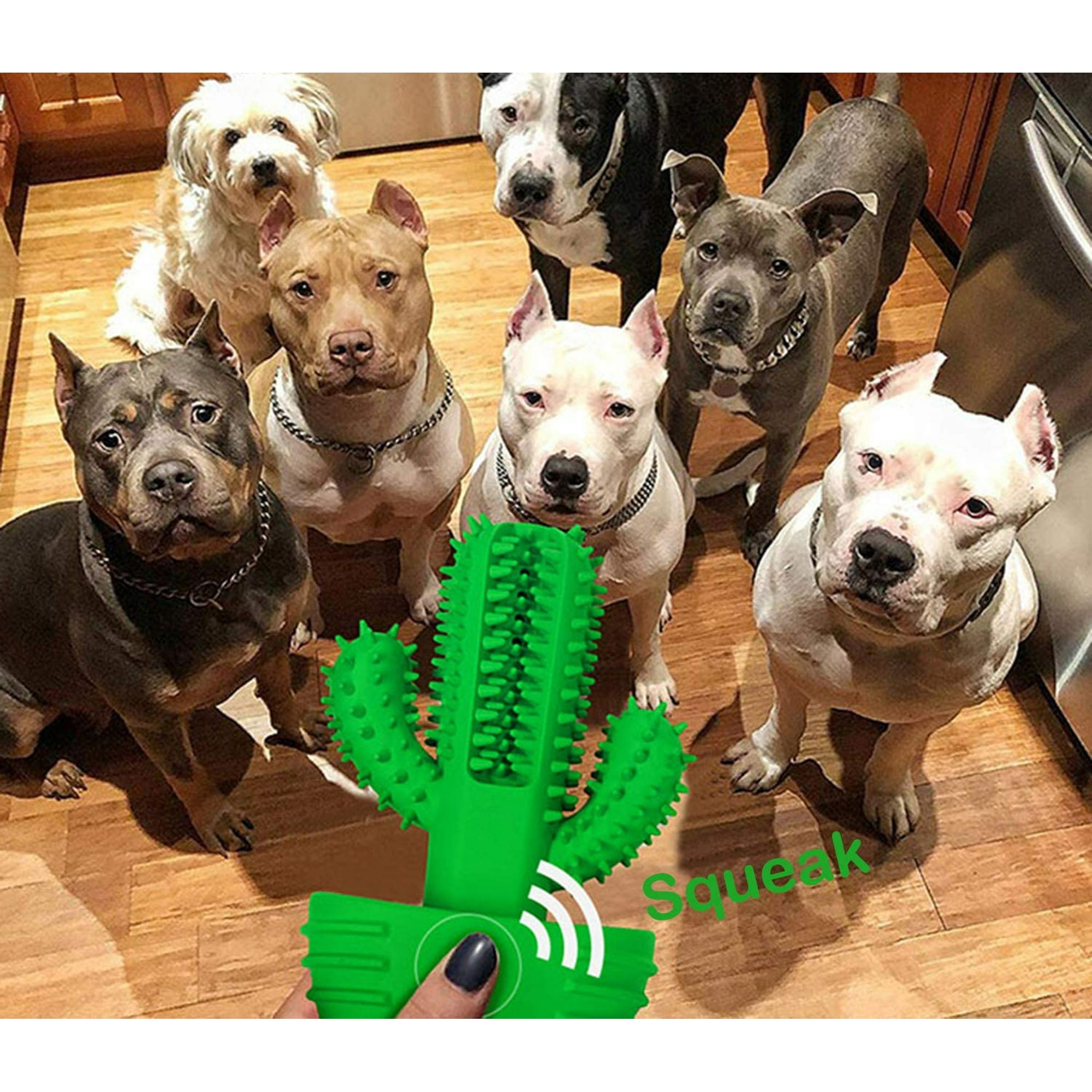 Dog teeth brushing toys hotsell