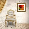 thumbnail image 3 of Evans, Josh 20x20 Gold Ornate Wood Framed with Double Matting Museum Art Print Titled - Not Shy III, 3 of 4