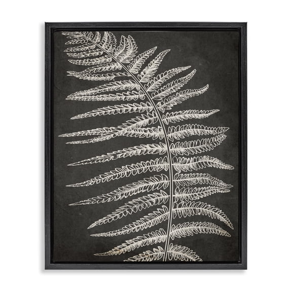 Stupell Industries Victorian Fern Leaf on Grey Black Floating Frame Canvas Art, 25 x 31, by Ros Ruseva
