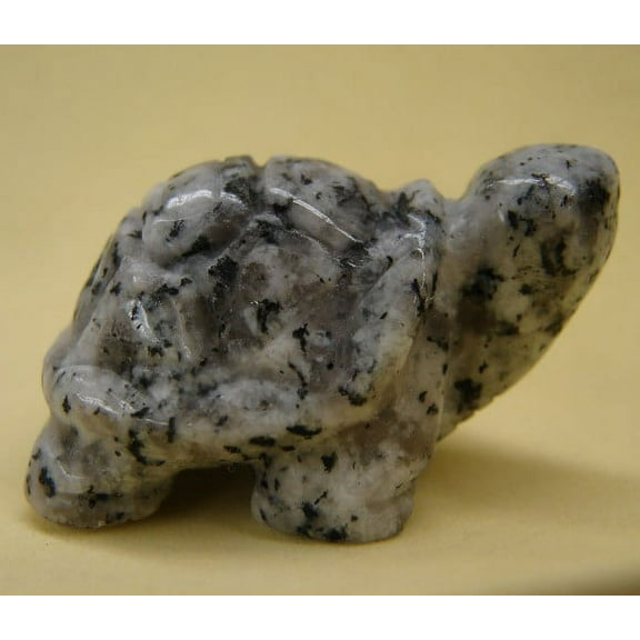 Varieties of Gemstone Turtles