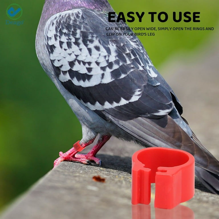 Leg Bands For Chickens Deago 100 Pcs Bird Rings Leg Bands For