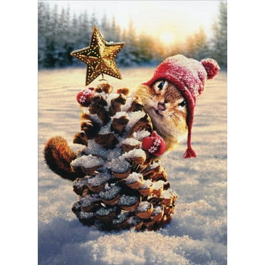 Avanti Press Christmas Cards, Santa Cat With Cookies, Count Of 10 (703952