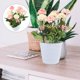 thumbnail image 1 of BESTYASH Planta Decorativa Artificial Rosa En Maceta Resistente Sin Necesidad De Cuidados, 1 of 8