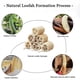 thumbnail image 5 of Esponja de lufa orgánica natural, hidroterapia, juego de 6 piezas, exfoliante y suavizante, esponja de lufa para baño y ducha, exfoliante corporal para hombres y mujeres, 5 of 8