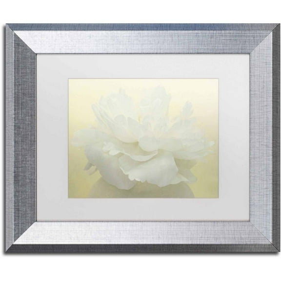 Trademark Fine Art 'Pure White Peony' Canvas Art by Cora Niele, White Matte, Silver Frame