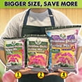 thumbnail image 5 of DUSPRO Orchid Potting Mix for Repotting with Forest Moss, Pine Bark, Perlite & Pumice Natural Ingredients, Orchid Bark Potting Mix, Orchid Repotting Kit Drainage Indoor Potting Medium 2QT, 5 of 7