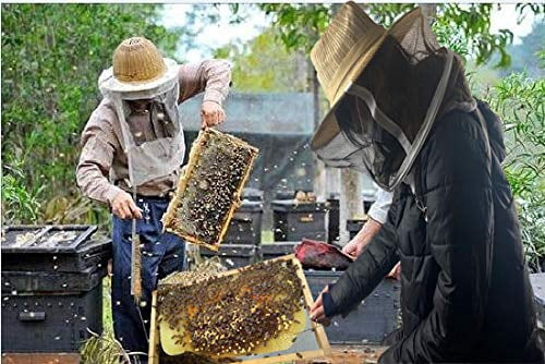 Beekeeping Veil Hat Beekeeper Hat with Anti-bee Netting Professional Bee Keeping Supplies