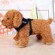 thumbnail image 2 of mascota chaleco transpirable arnés correa cachorro caminar correa de cuerda de tracción (negro / m Likrtyny Para estrenar, 2 of 6
