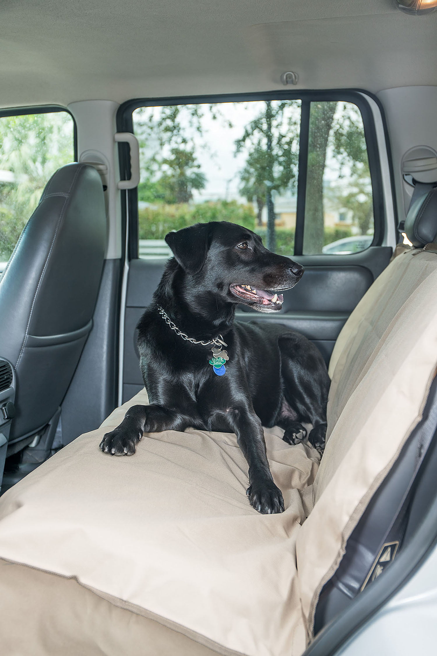 Waterproof Pet Seat Cover Dog Cat Universal Rear Bench for Car SUVs Van Truck 