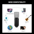 thumbnail image 4 of Professional BM700 Condenser Microphone Recording Microphone KTV Concert Studio Recording Set Black + Gold, 4 of 8
