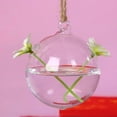 thumbnail image 2 of WHAMVOX Create Refreshing Transparent Hanging Glass Planter Terrarium Vase with Two Holes Home Decor, 2 of 4