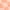 Apricot Delight, variant on Wonder Nation Boys Printed Knit Shorts, Sizes 4-10