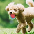 thumbnail image 4 of Pelota elástica de goma para perros de compañía, juguete interactivo para masticar dientes, rechinar, entrenamiento seguro, 4 of 12