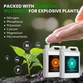 thumbnail image 3 of Humboldts Secret Base A & B Liquid Hydroponic Fertilizer | Complete Hydroponic Nutrients for Indoor and Outdoor Plants | Supports Healthy Vegetative Growth and Flowering Stage | 2.5 Gallon, 3 of 10