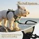 thumbnail image 4 of Arnés para perros Rabbitgoo, ajustable, acolchado suave, sin tirones, XS, 4 of 7