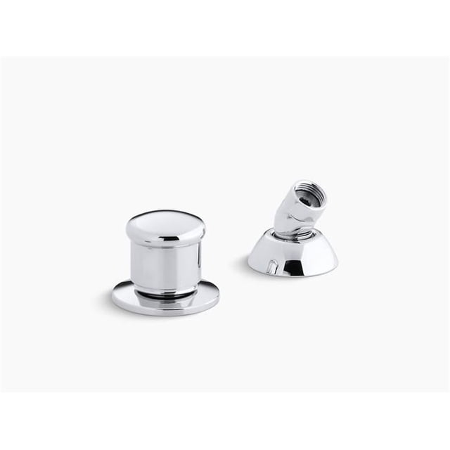 Kohler K-8549-CP Two-Way Diverter Valve & Handshower Hose Guide, Polished Chrome