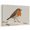 Beige, variant on 10" x 8" Brown Orange Bird Canvas Wall Art for Living Room, Pastoral Vintage Minimalist Winter Wildlife Poster Print Painting for Nightstand Bathroom Collage Decoration Wall Pictures Prepare To Hang