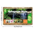 thumbnail image 4 of 1pack Natural Sphagnum Compressed Water Moss Orchid Gardening Plants Sphagnum, 4 of 4