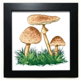 thumbnail image 1 of Cute Green Truffle Illustration Black Square Frame Picture Wall Tabletop, 1 of 3