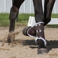 thumbnail image 3 of Dura-Tech Sport Boots | Ultimate Horse Leg Protection | Silver Glitter | Medium, 3 of 6
