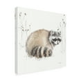 thumbnail image 4 of Trademark Fine Art 'Woodland Walk X Raccoon' Canvas Art by Lisa Audit, 4 of 4