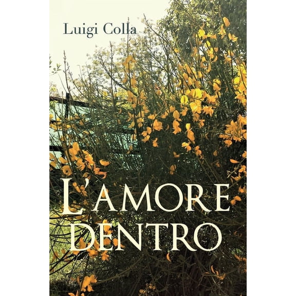 L'amore dentro (Paperback)