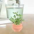 thumbnail image 3 of STRANDCHIC Small Ceramic Planter Set of 2, Plant Pots for Indoor and Outdoor Gardening, Ideal for and Herbs, 3 of 6