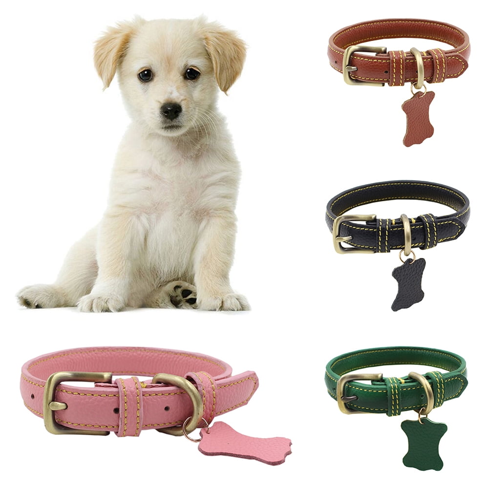 leather tag collar