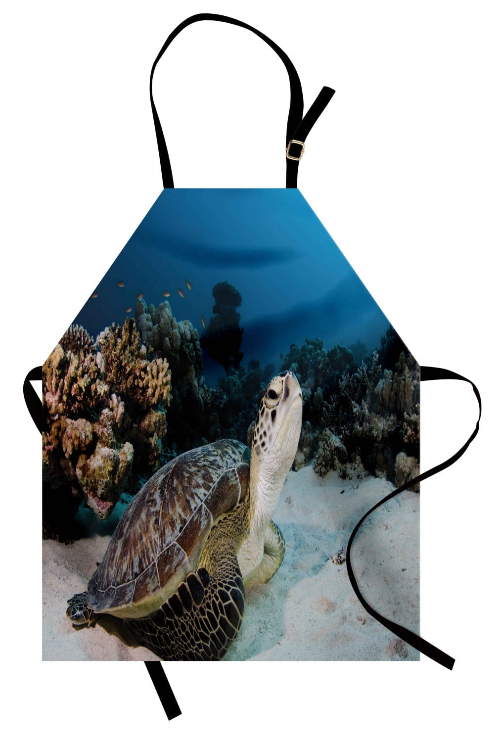 Turtle Apron Underwater Sea Animal on Coral Reef in Red Sea Egypt ...
