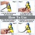 thumbnail image 4 of Parrot Bird Harness Leash Outdoor Flying Traction Straps Band Adjustable Anti-bite Training Rope, 4 of 5