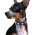 thumbnail image 5 of Collar para perro con pedrería - Piel sintética - Talla ajustable - Tallas S, M, L - Negro, 5 of 5