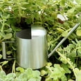 thumbnail image 4 of 300ml Stainless Steel Watering Kettle With Semi Open Top Indoor Watering Pot, 4 of 8