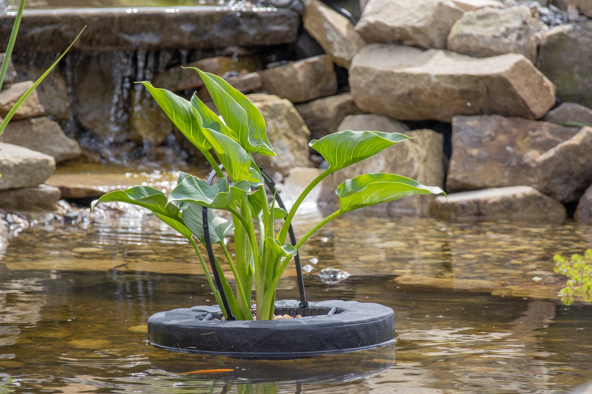 PondH2o Floating Aquatic Water Garden Pond Planter Basket, 10 Inch Round Fabric Floatable Flower Plant Pot Aquaponics, Hydroponics