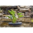 thumbnail image 5 of PondH2o Floating Aquatic Water Garden Pond Planter Basket, 10 Inch Round Fabric Floatable Flower Plant Pot Aquaponics, Hydroponics, 5 of 9